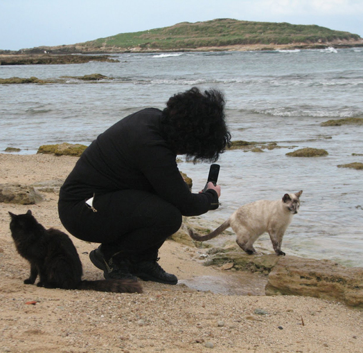 «Su pallosu», la playa de los gatos