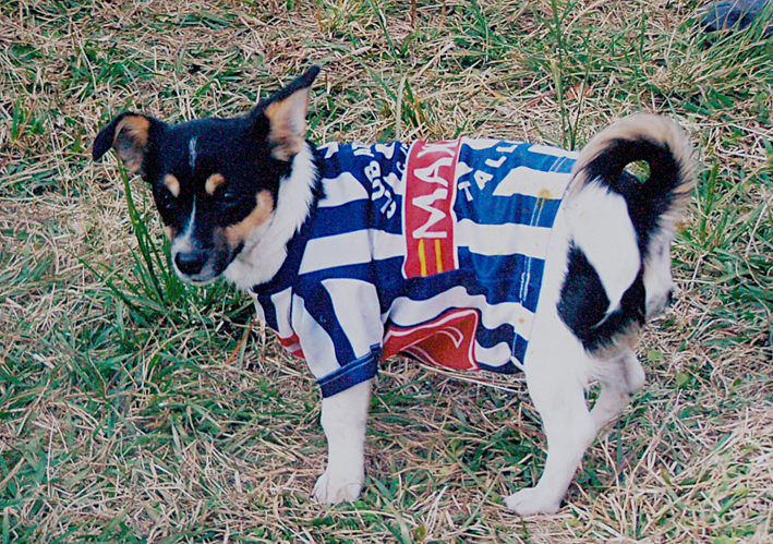 El perrito de Primera