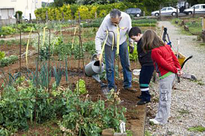 Continúan el proyecto de huertas  ecológicas