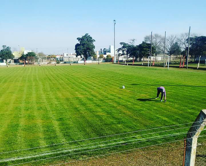 Todos a la cancha