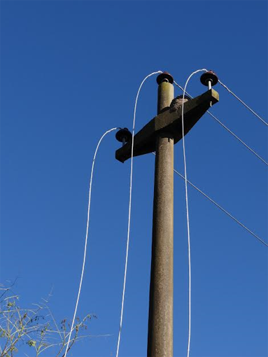 Tercer robo de cables a la Cooperativa de Tío Pujio