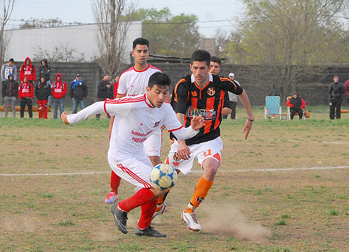 Sigue sumando en el “Bosque”