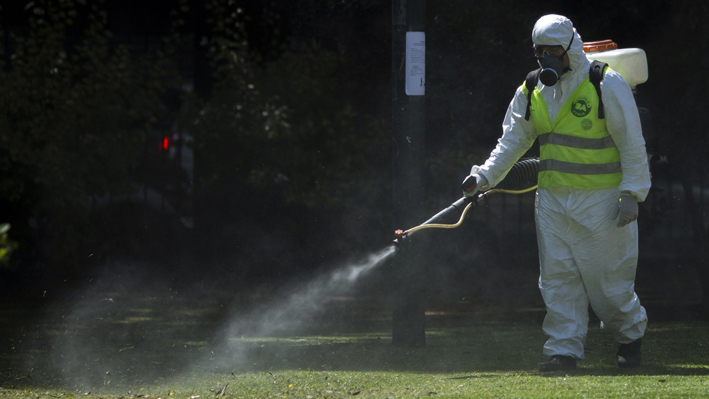 Buena oportunidad para la prevención del dengue