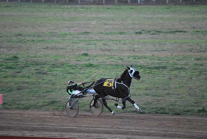 Gora Look Monarca, dueño del duelo