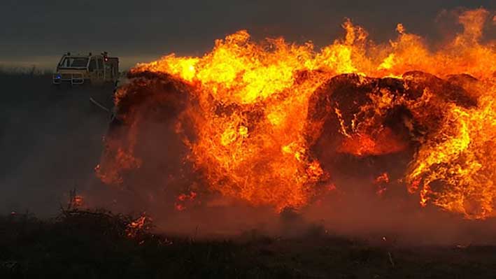 Un incendio de pastizales tuvo en jaque a los bomberos