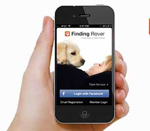 App para perros