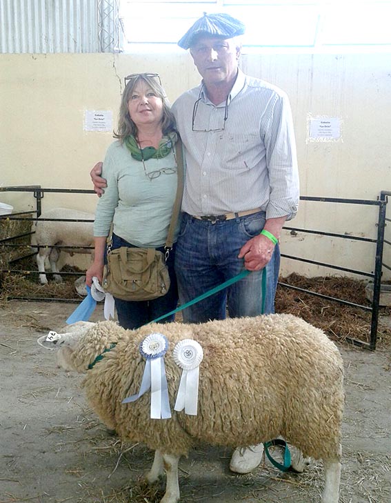 Una cabaña local de ovinos fue multipremiada en Jesús María