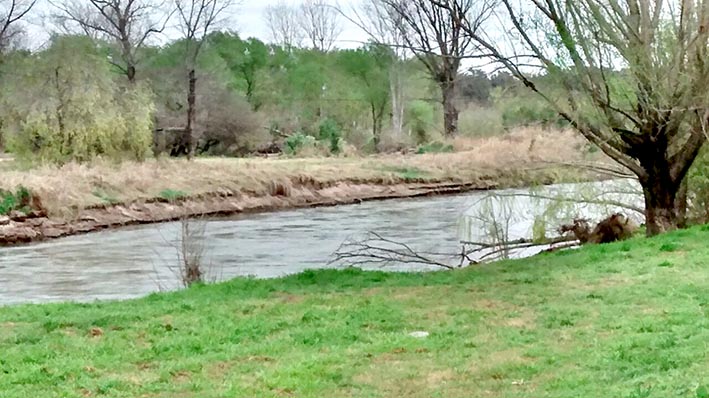 La Provincia “tiene que remediar la catástrofe ambiental” río arriba