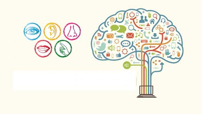 neuromarketing
