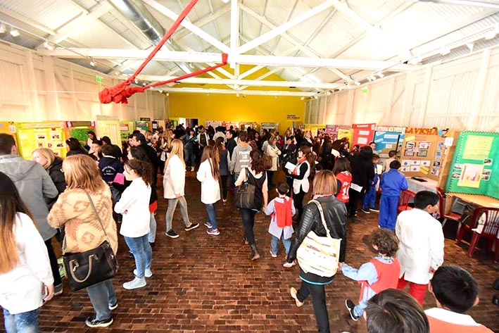 Las 21 escuelas que pasaron a la Feria de Ciencia provincial