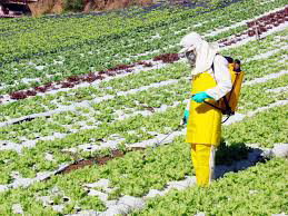 Se incrementó un 50% el consumo de fertilizantes