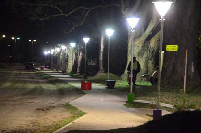 p15-f1-luz-parque