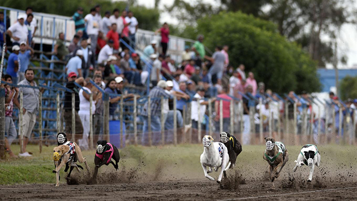 El desafío de los que resisten