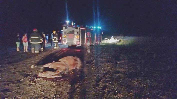 Murió una mujer cuando una camioneta embistió un equino