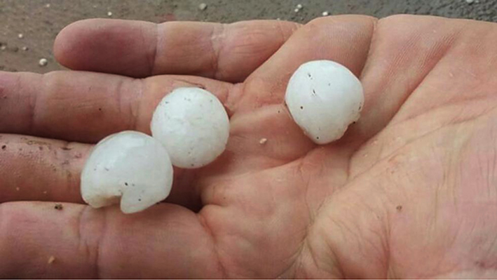 Tormenta de lluvia, viento y piedra en Oliva y Etruria