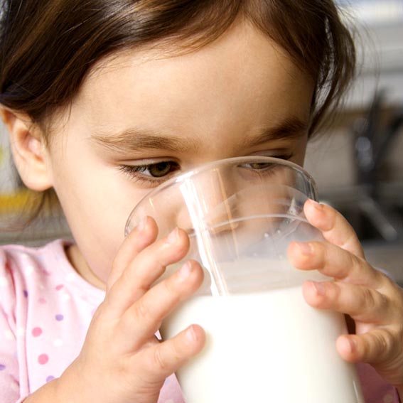 “Más leche, más proteínas”, en marcha
