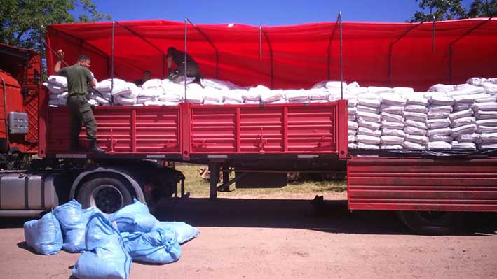 Trasladaban hojas de coca entre bolsas de porotos