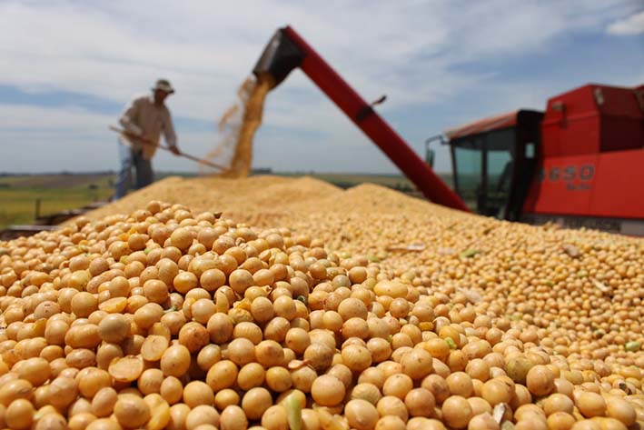 Los trabajadores rurales “de la bolsa” también cobrarán el bono