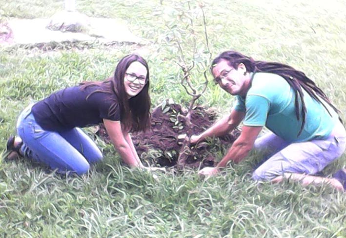 Un eucalipto para el “Bosque” del Rotary