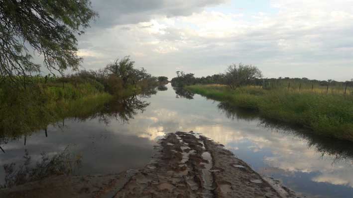 El futuro de los tambos está bajo agua