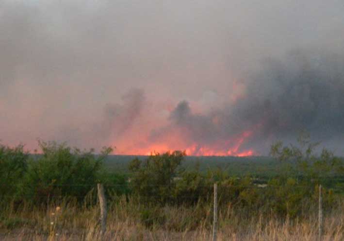 Más de un millón de hectáreas afectadas por el fuego