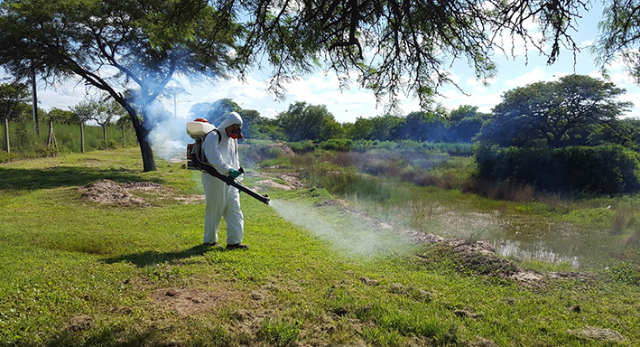 Mosquitos: la ciudad coordinará programa