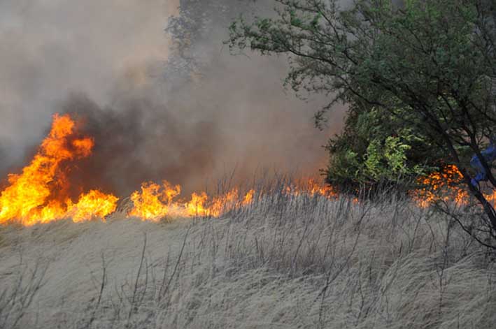 Se estima que el fuego arrasó con más de un millón de hectáreas