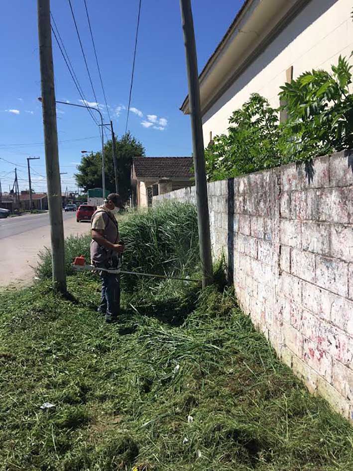 Limpiaron los alrededores del viejo Pasteur