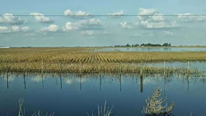 Sólo en agro, el Departamento San Martín perdió 45,5 millones de pesos