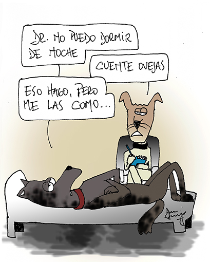 Humor perruno