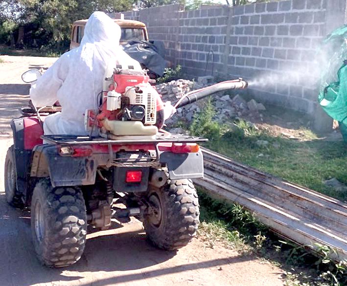 Piden limpiar los patios este fin de semana para desratizar