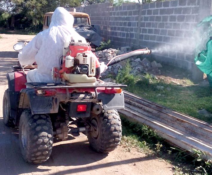 Fumigaron contra alacranes y ratones