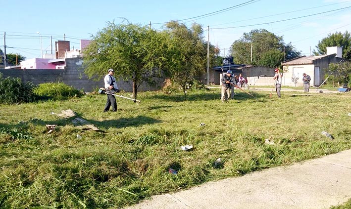 Avanzan en la limpieza de terrenos