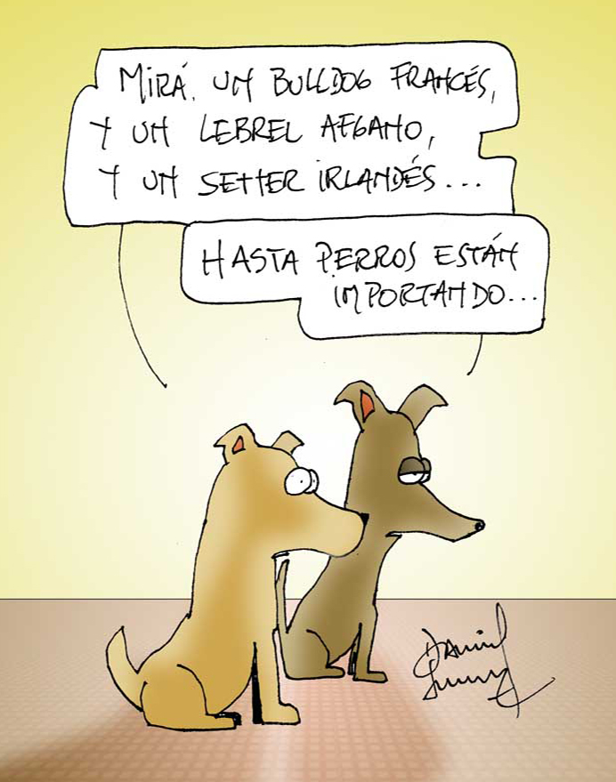 Humor perruno