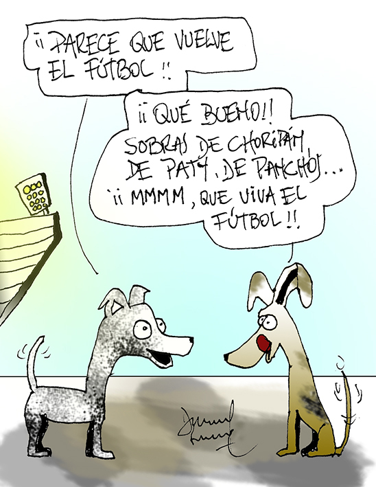 Humor perruno