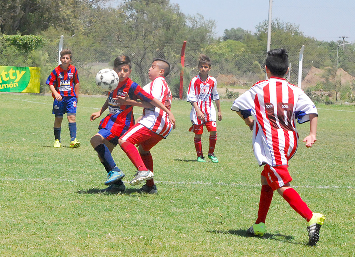 Comienza un nuevo torneo en inferiores