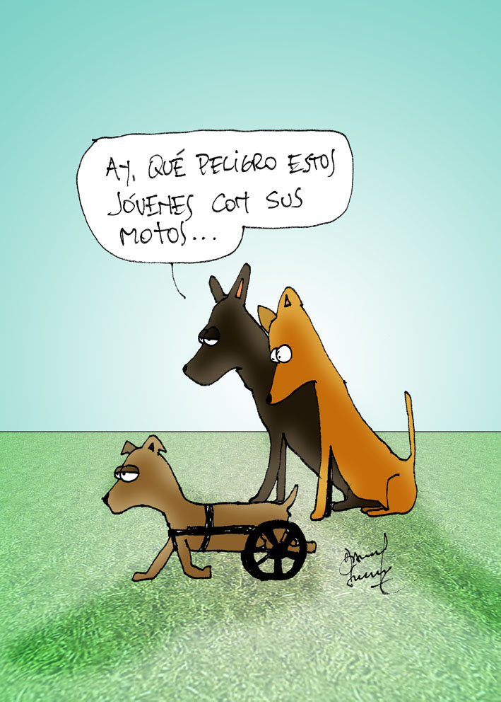 Humor perruno