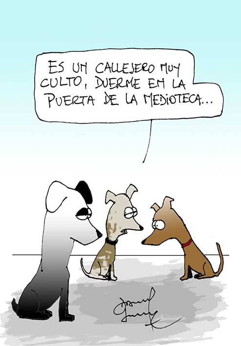 Humor perruno