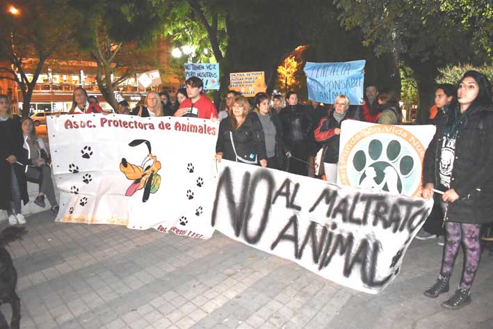 Marcha contra el maltrato animal