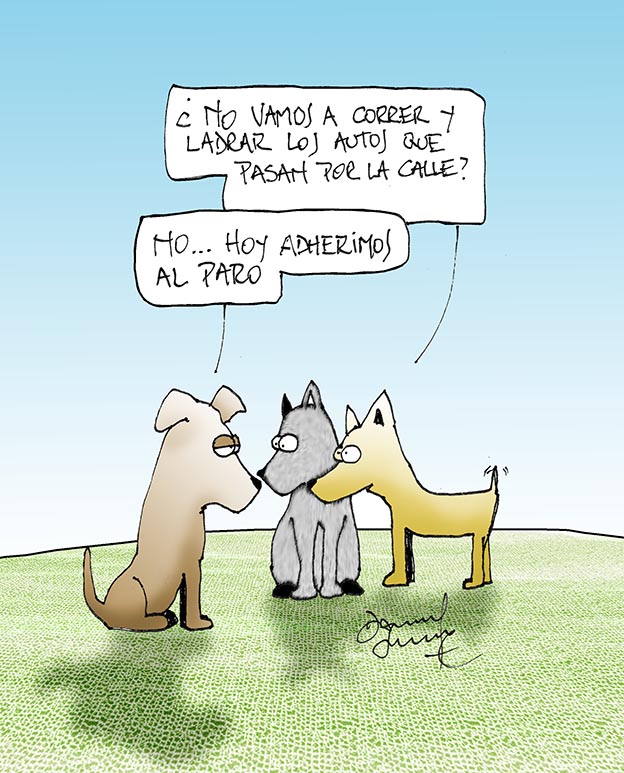 Humor Entre Perros y Gatos