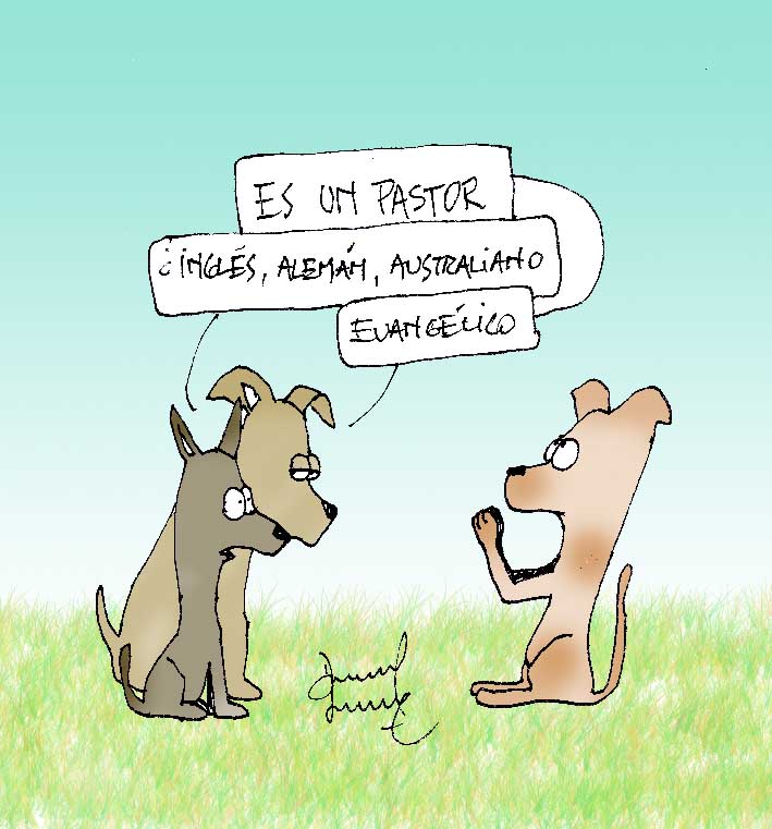 Humor perruno