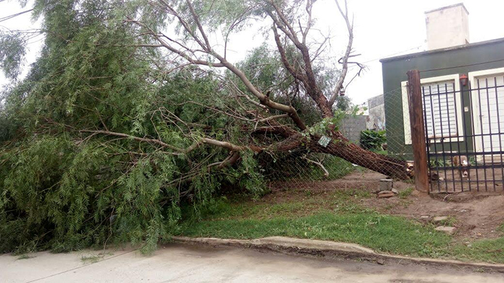 El viento generó daños y complicaciones