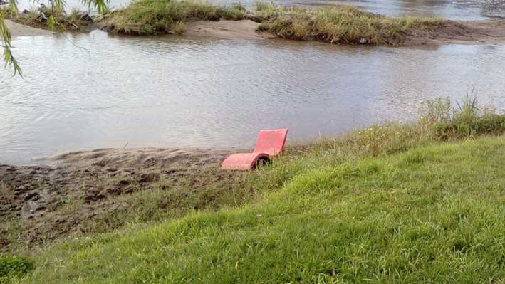 Indignación por ataque vandálico en el Parque