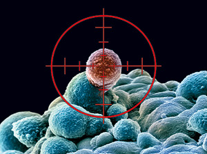 Avance contra células tumorales