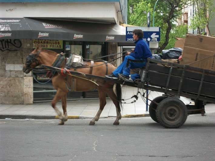 Inversión del Estado en animales