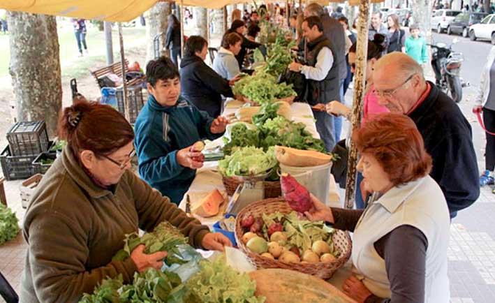 Realizan Feria de la Economía Social y Solidaria Realizan Feria de la Economía Social y Solidaria