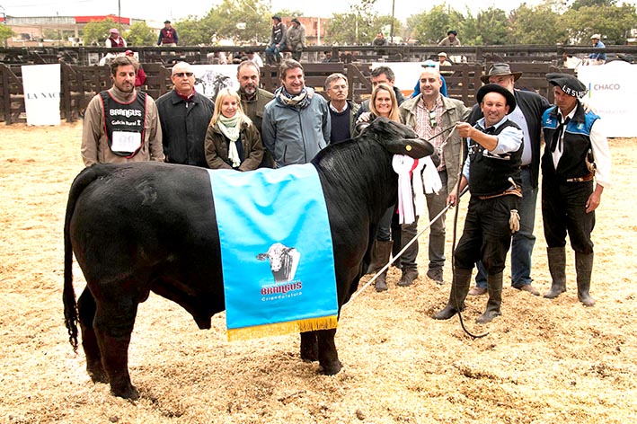 «La Sultana» brilló en la pista de jura y en el remate