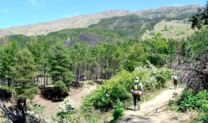 Quimera de montaña