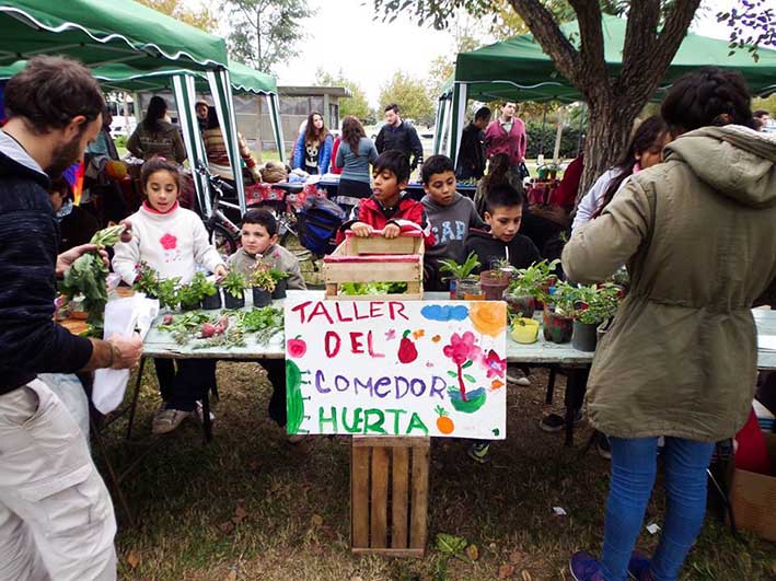 Prácticas universitarias en huertas comunitarias