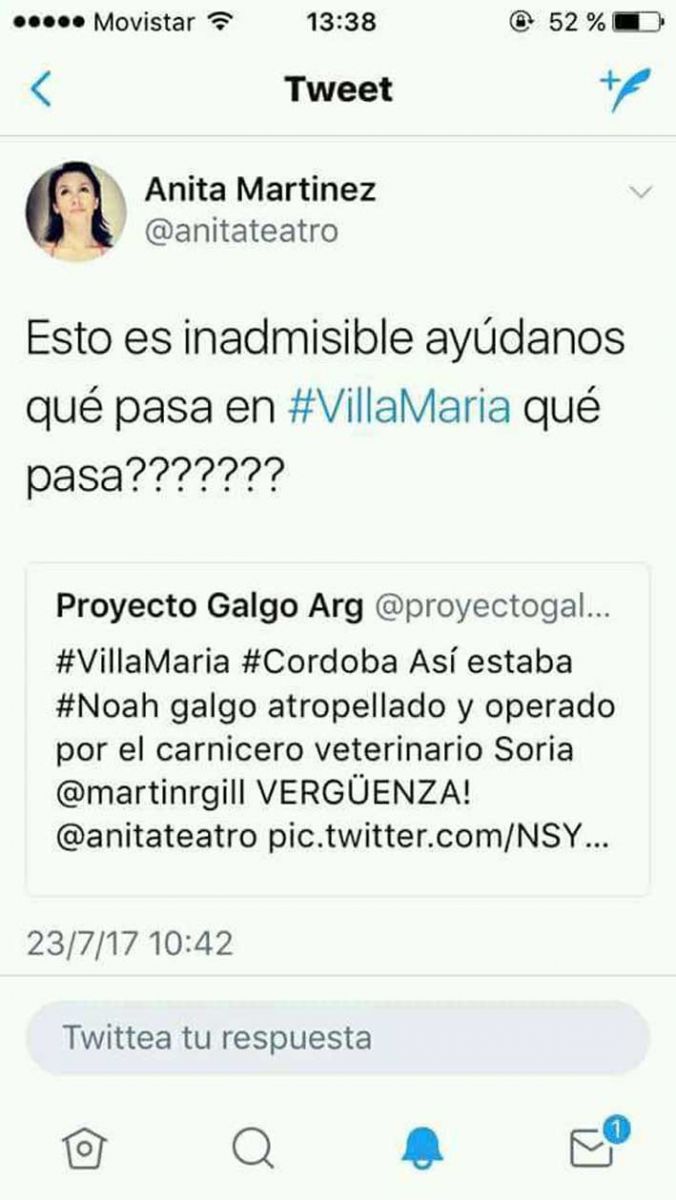 “Hasta famosos se preocupan por lo que pasa con los perros en la ciudad”